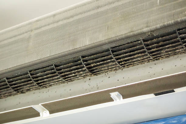 Best Air Vent Cleaning Services  in Shamokin Dam, PA